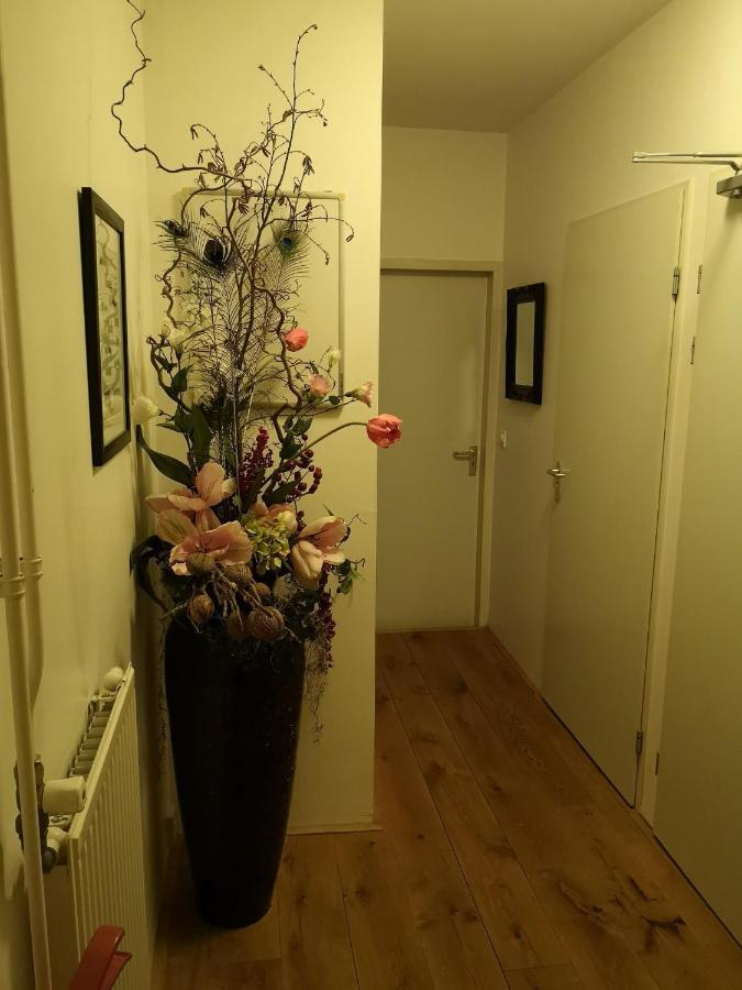 Achterhuis 2 Appartement Maastricht Buitenkant foto